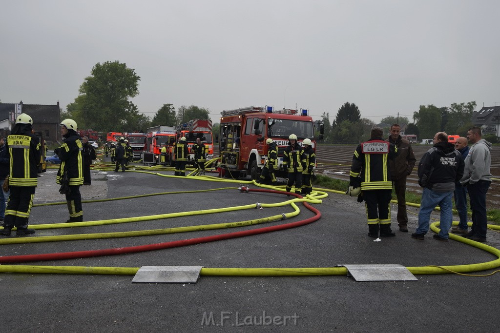 Feuer 3 Rheinkassel Feldkasseler Weg P1752.JPG - Miklos Laubert